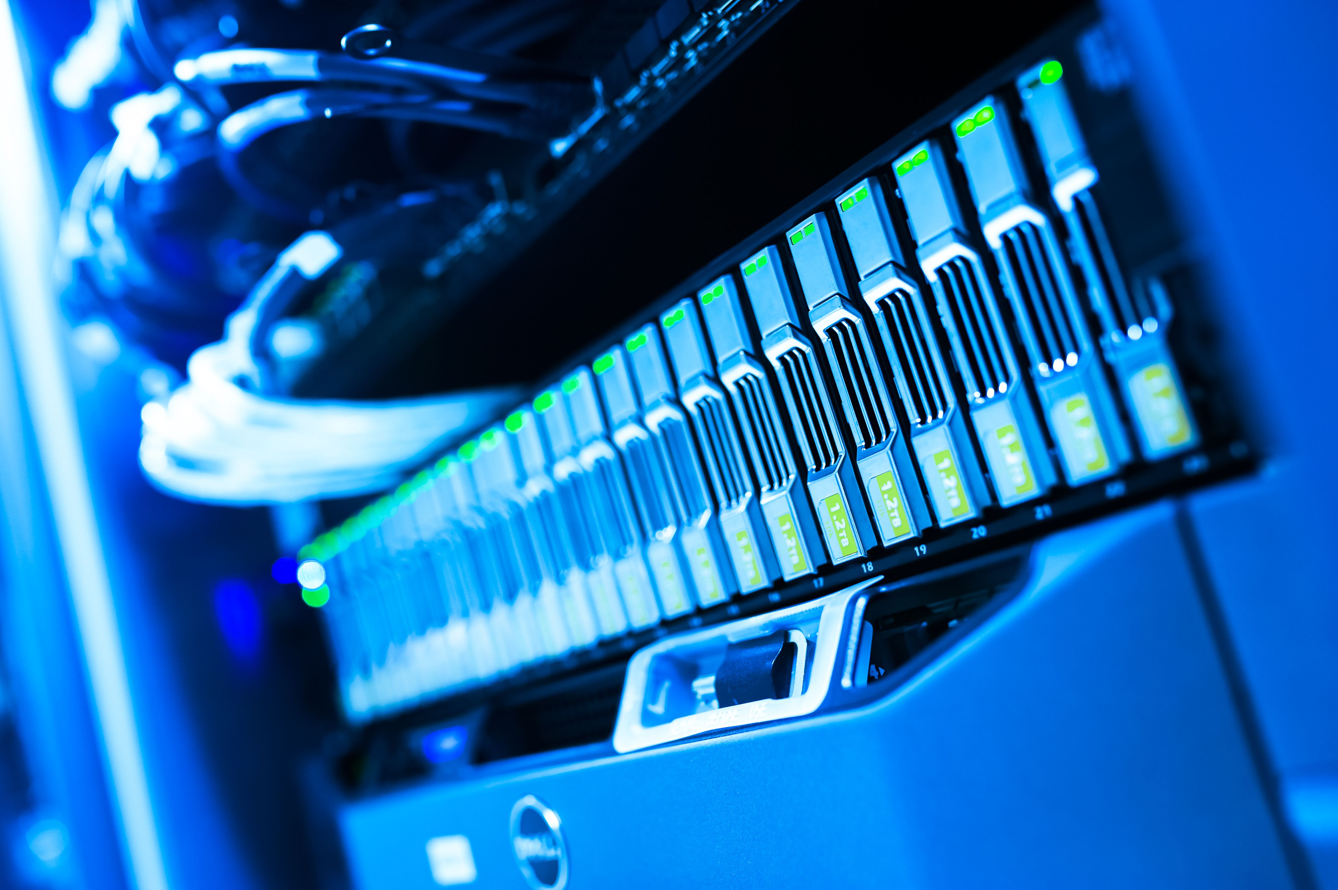 2024-Present: Building SaaS products designed to become investment-ready companies. image 3